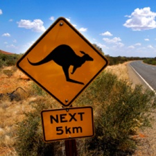 20090826_kangaroo_sign