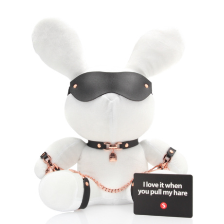 Bondage Rabbit - Image 9