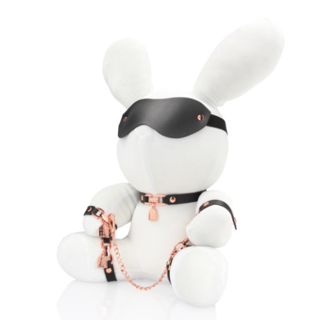 Bondage Rabbit - Image 5