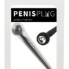 Penis Plug