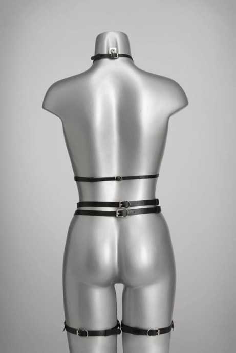 Voyeur X Garterbelt Lilly JALC001 - Image 4
