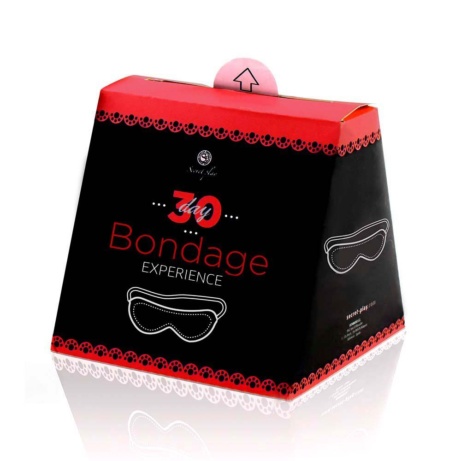 30 day Bondage Challenge - Image 2