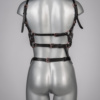 Voyeur X Garterbelt Seduction JARL004 - Image 2