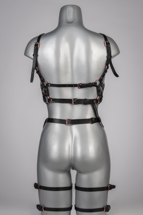 Voyeur X Garterbelt Seduction JARL004 - Image 2