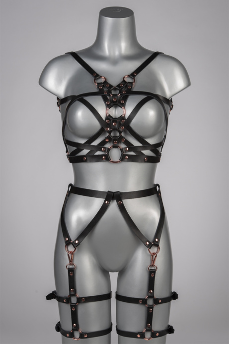 Voyeur X Garterbelt Seduction JARL004 - Image 3