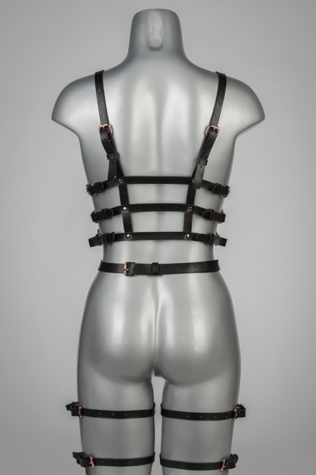 Voyeur X Garterbelt Subjection JARL003 - Image 4