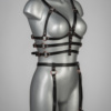 Voyeur X Harness Subjection HARL008 - Image 4
