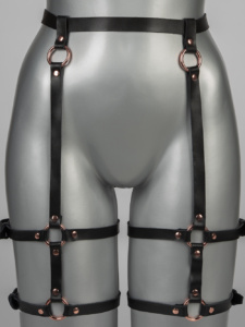 Voyeur X Garterbelt Subjection JARL003