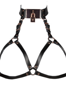Voyeur X Harness Lock HARL014