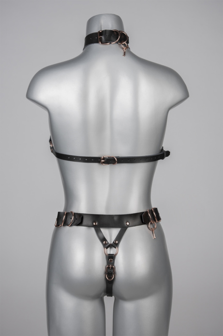 Voyeur X Harness Lock HARL014 - Image 6