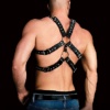 Ouch! Andreas Harness - Image 2