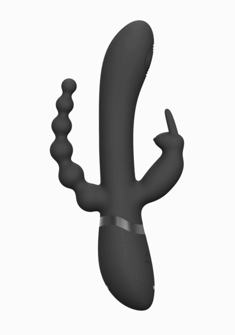 Vive Rini multivibraator - Image 8