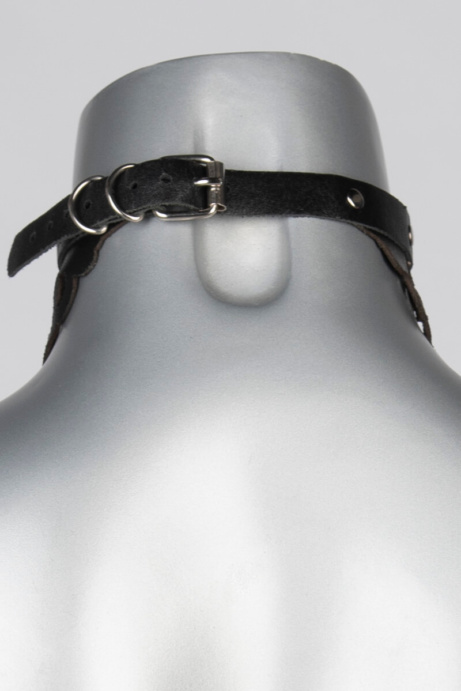 Voyeur X Collar Lucy - Image 2