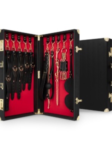 Bondage Suitcase 13 kunstnahast tootega